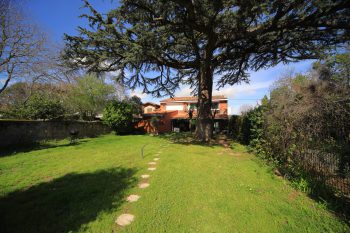 Toulousaine restaurée scindée en 8 appartements – Image 20